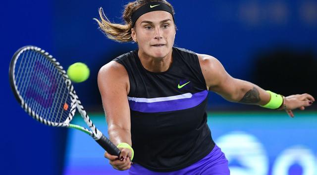 也未能将相 也未能将相